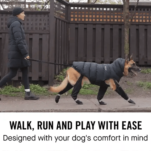 Canada Pooch Suspender Boots