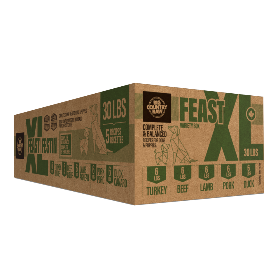 Big Country Raw XL Feast -30lb