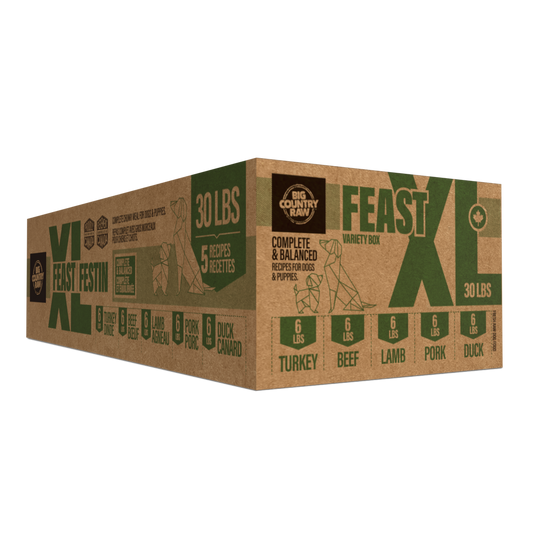 Big Country Raw XL Feast -30lb