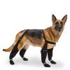 Canada Pooch Suspender Boots