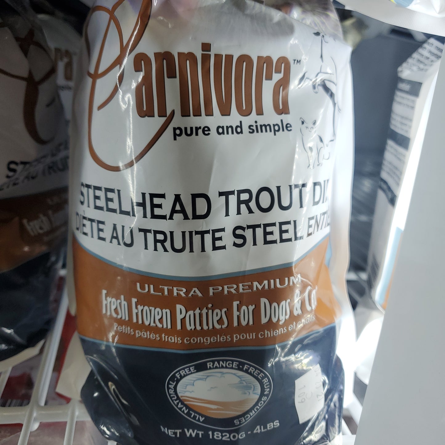 Carnivora Steelhead trout