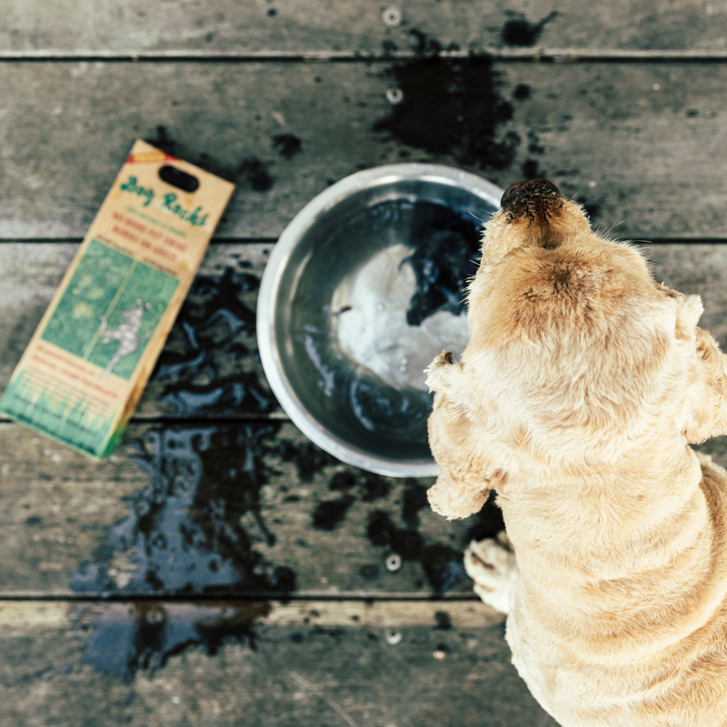 Dog Rocks - Lawn Saver