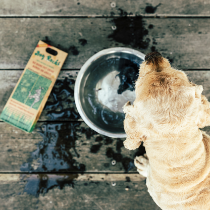 Dog Rocks - Lawn Saver