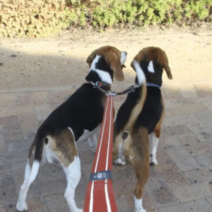 Rogz Double Split Lead