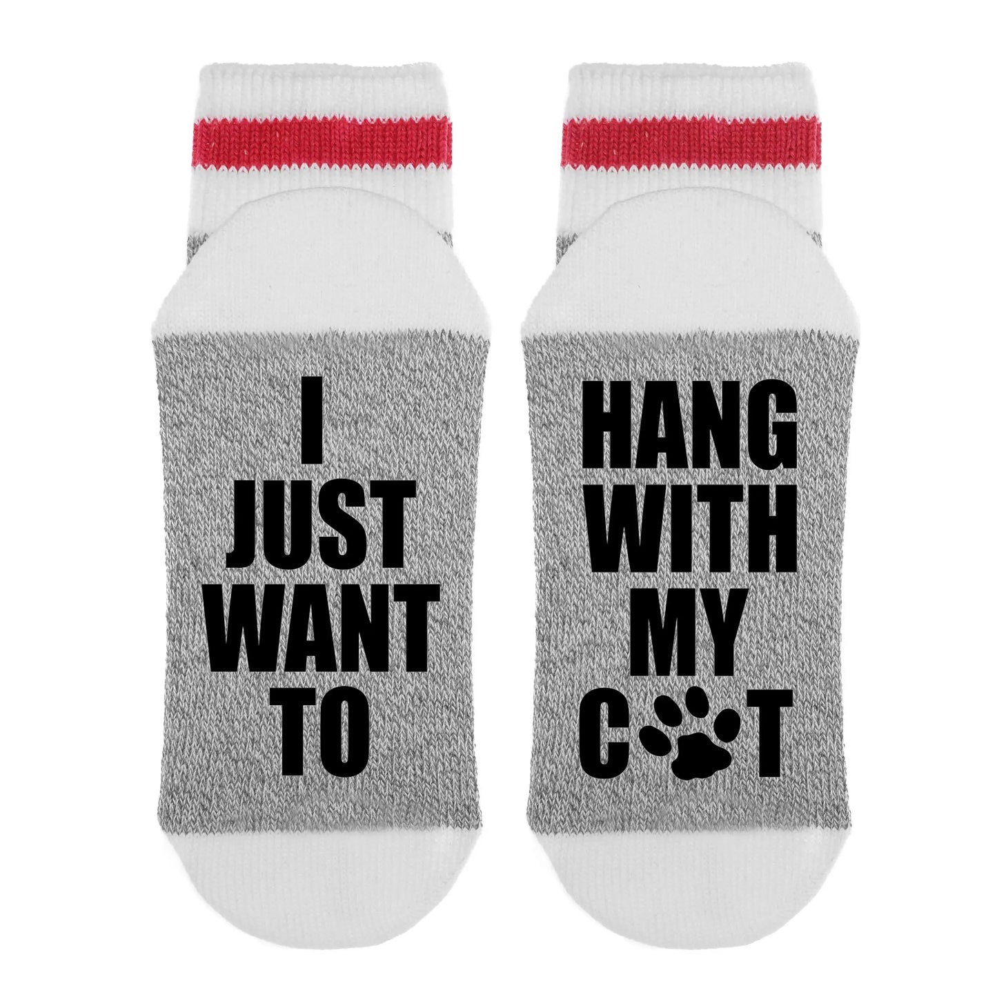 I just want to hang with my cat Socks
