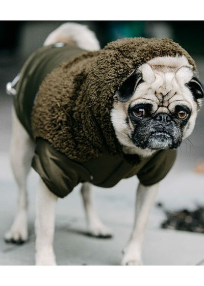 Silver Paw Green Quilted Jacket