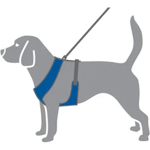Petcetra Comfy Harness